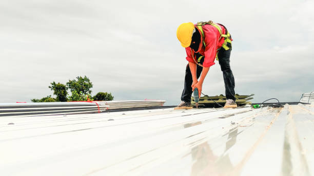 Best Roof Coating and Sealing  in Socorro, TX