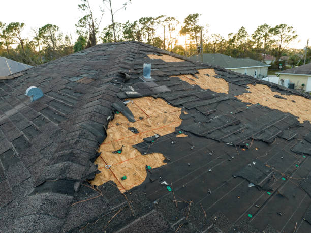 Best Flat Roofing  in Socorro, TX