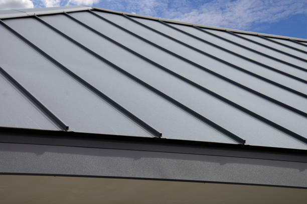 Best Gutter Installation and Repair  in Socorro, TX