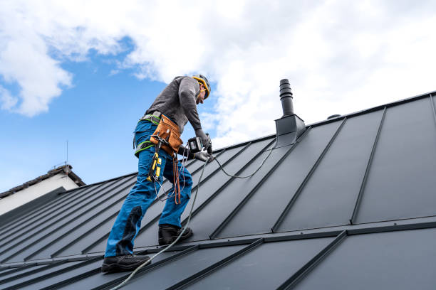 Best Sheet Metal Roofing  in Socorro, TX